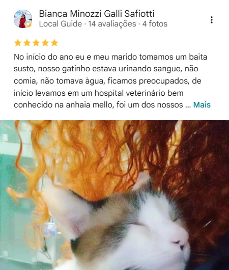 Avaliação 5 estrelas