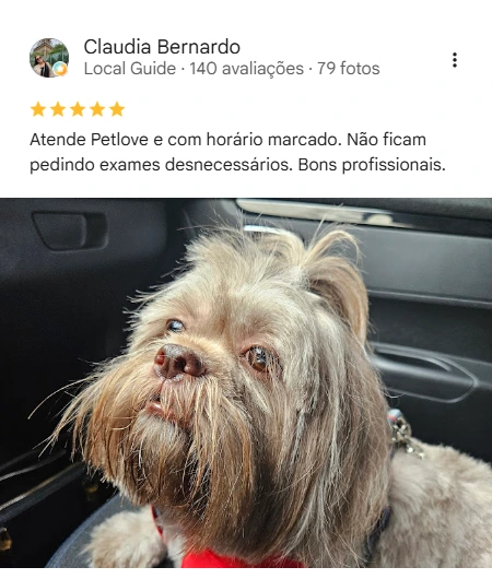 Avaliação 5 estrelas