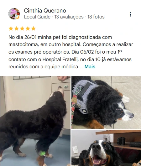 Avaliação 5 estrelas