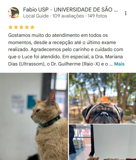 Avaliação 5 estrelas